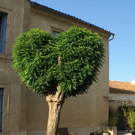 Domaine Du Griffon Frühstückspension *