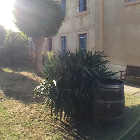 Domaine Du Griffon Boutenac
